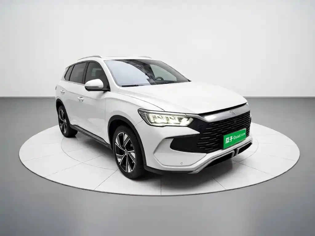 BYD Pro New Energy — фото 4