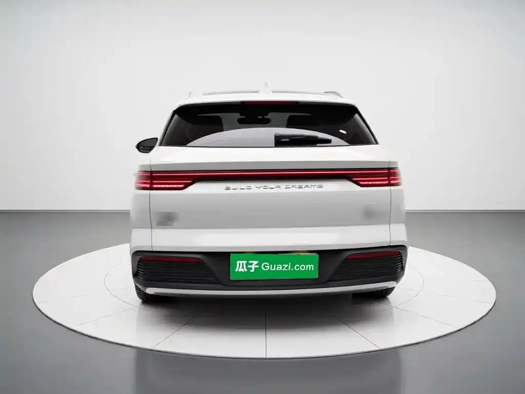 BYD Pro New Energy — фото 2