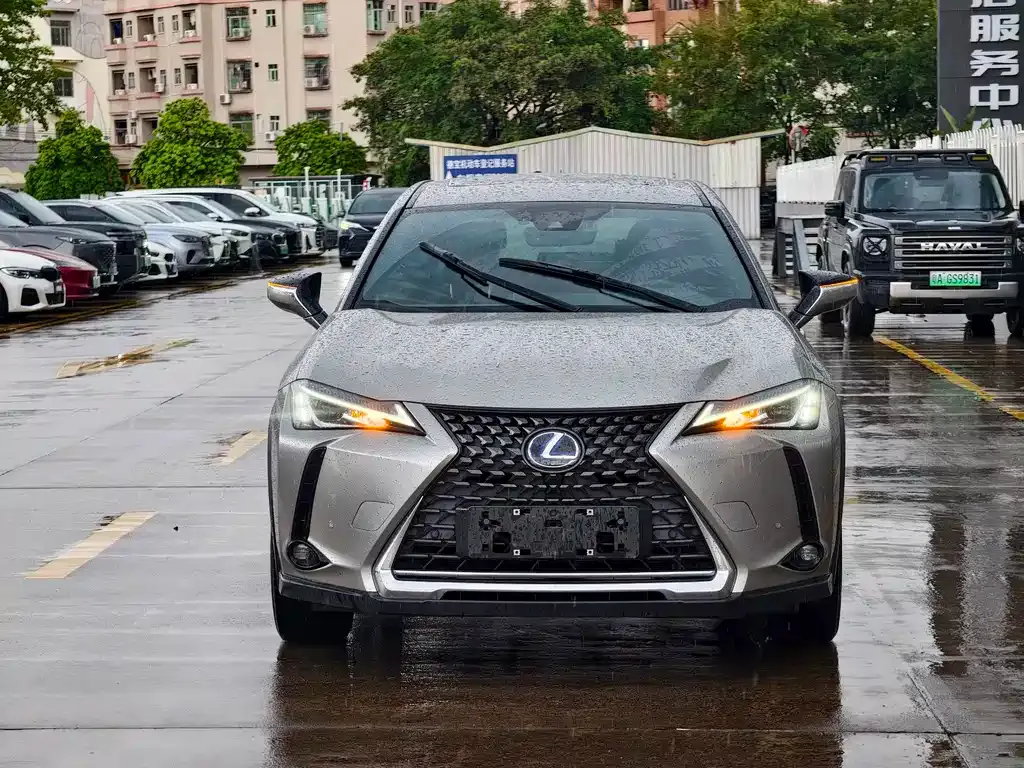 Lexus UX New Energy — фото 9