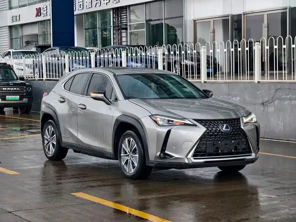Lexus UX New Energy — фото 7