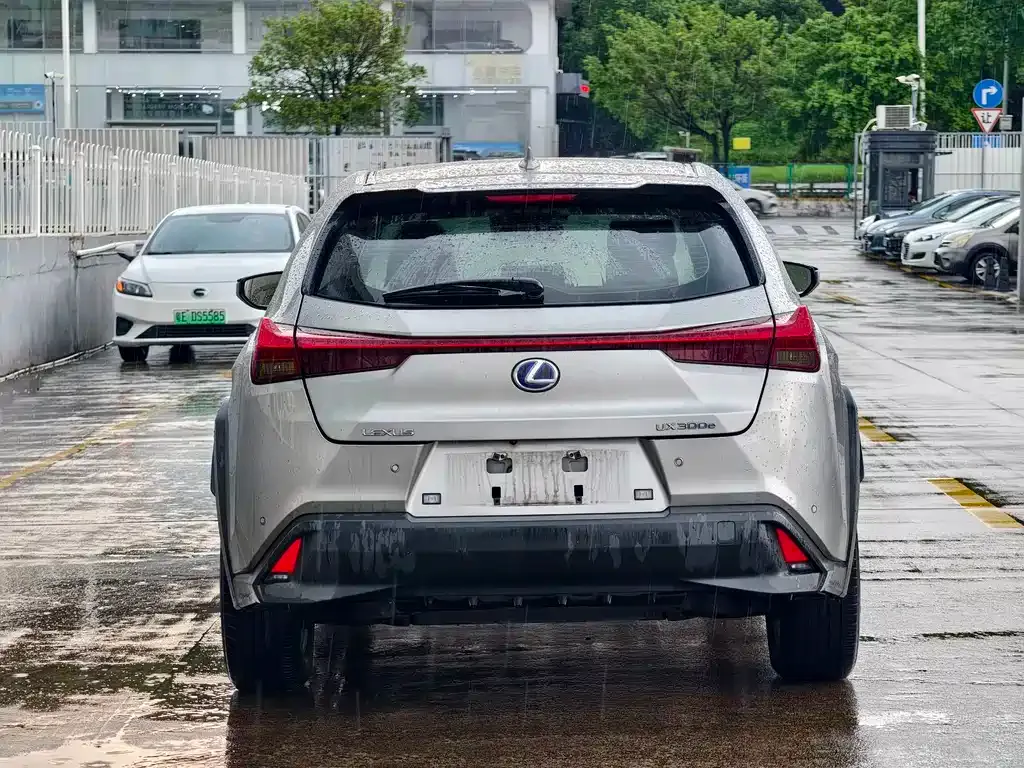 Lexus UX New Energy — фото 10