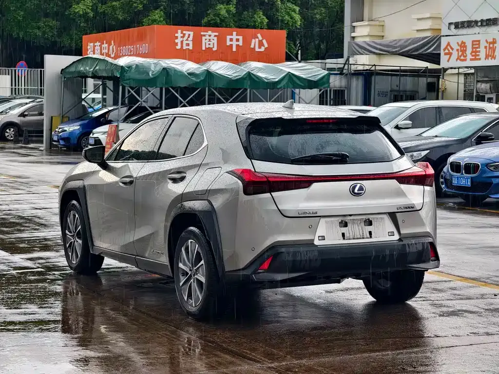 Lexus UX New Energy — фото 6