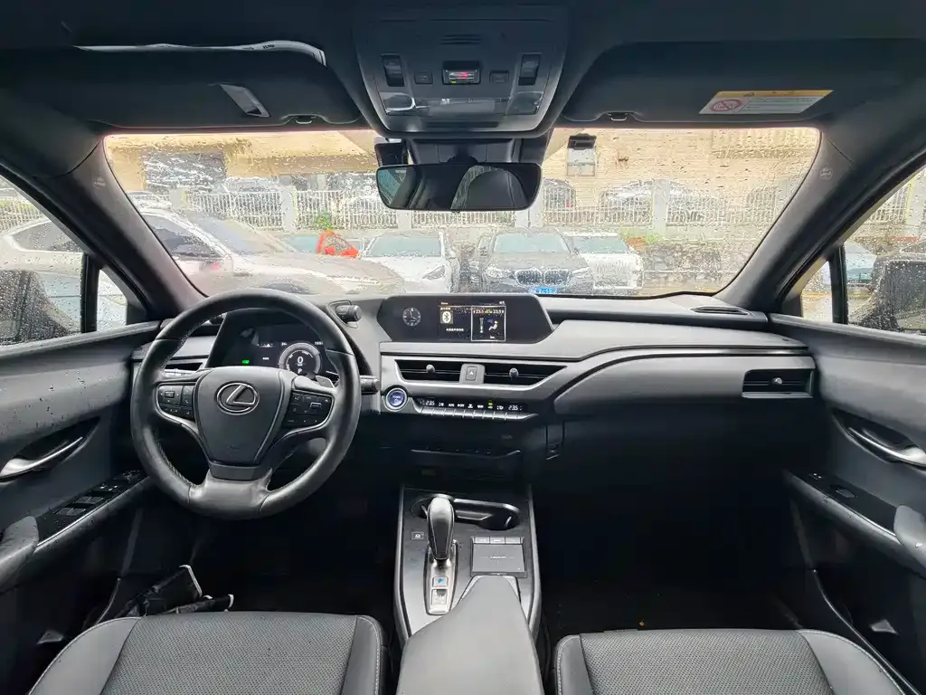 Lexus UX New Energy — фото 8