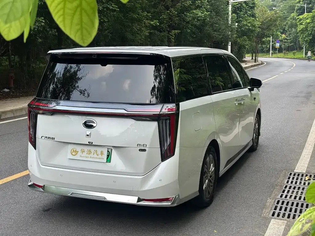GAC Motor Trumpchi Xiangwang M8 — фото 10