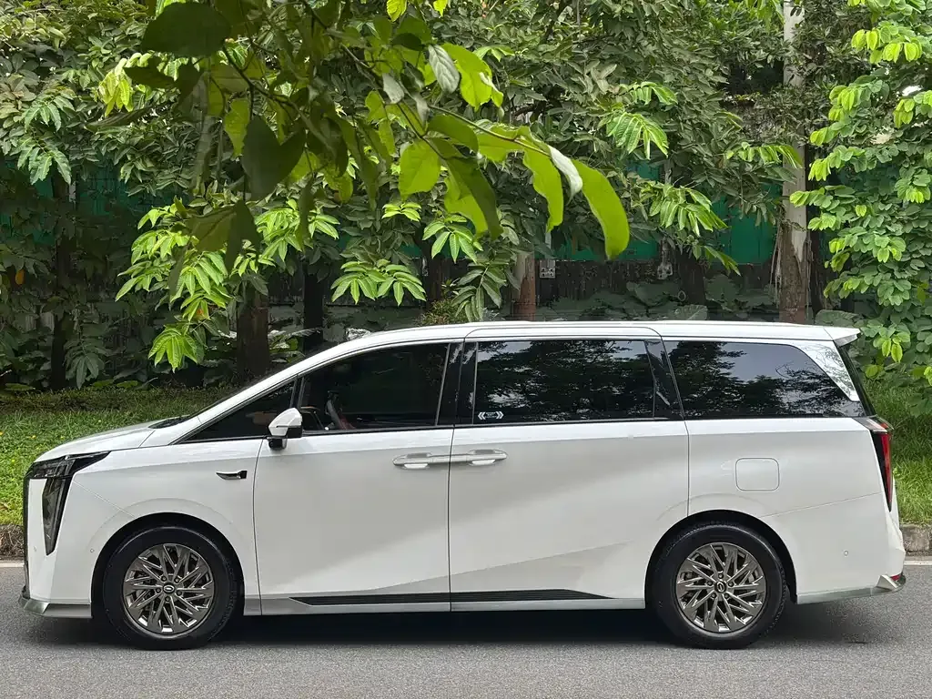 GAC Motor Trumpchi Xiangwang M8 — фото 6