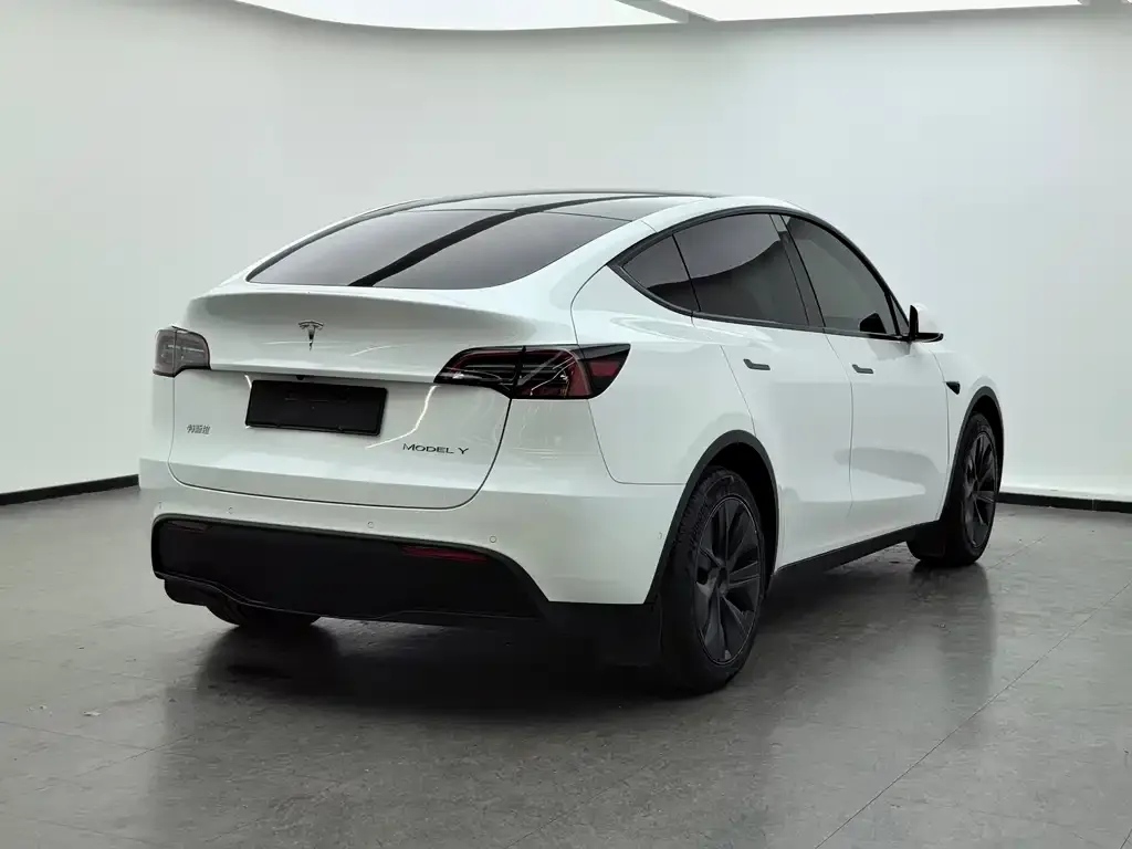 Tesla Model Y — фото 2