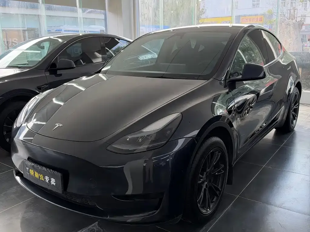 Tesla Model Y — фото 1
