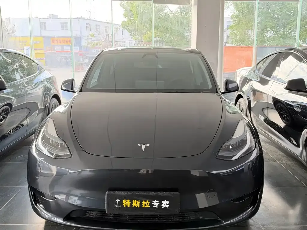 Tesla Model Y — фото 3