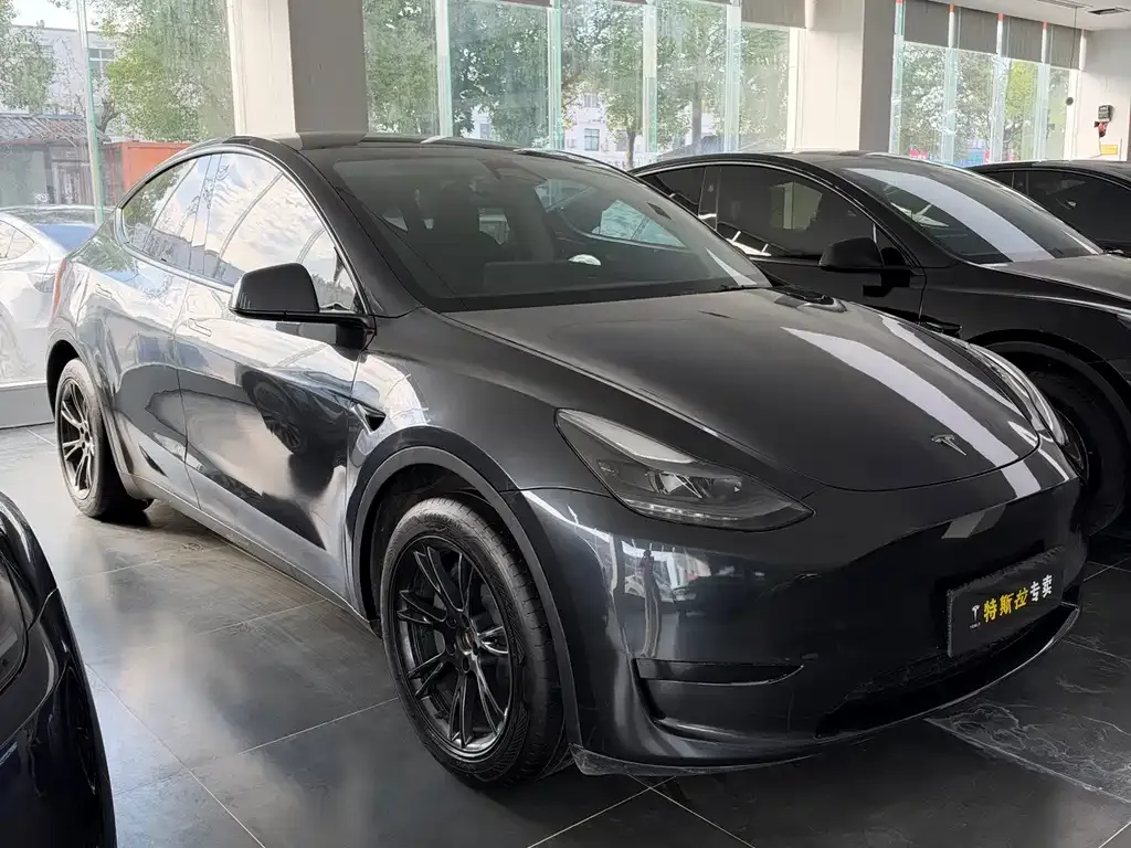 Tesla Model Y — фото 2