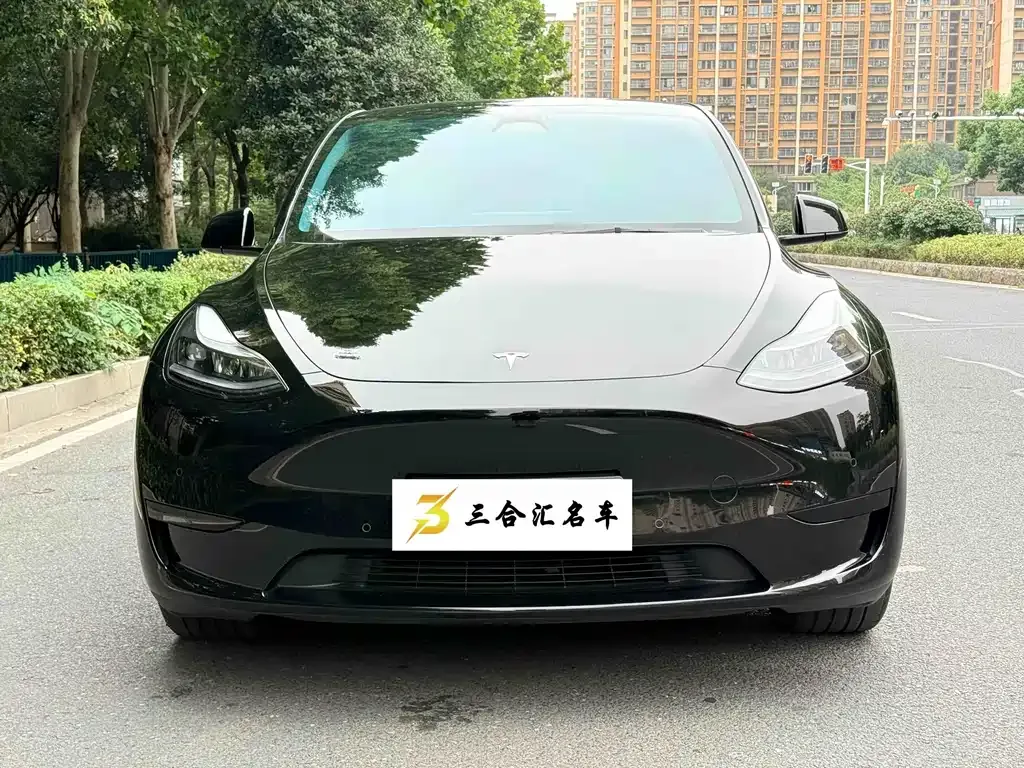 Tesla Model Y — фото 8