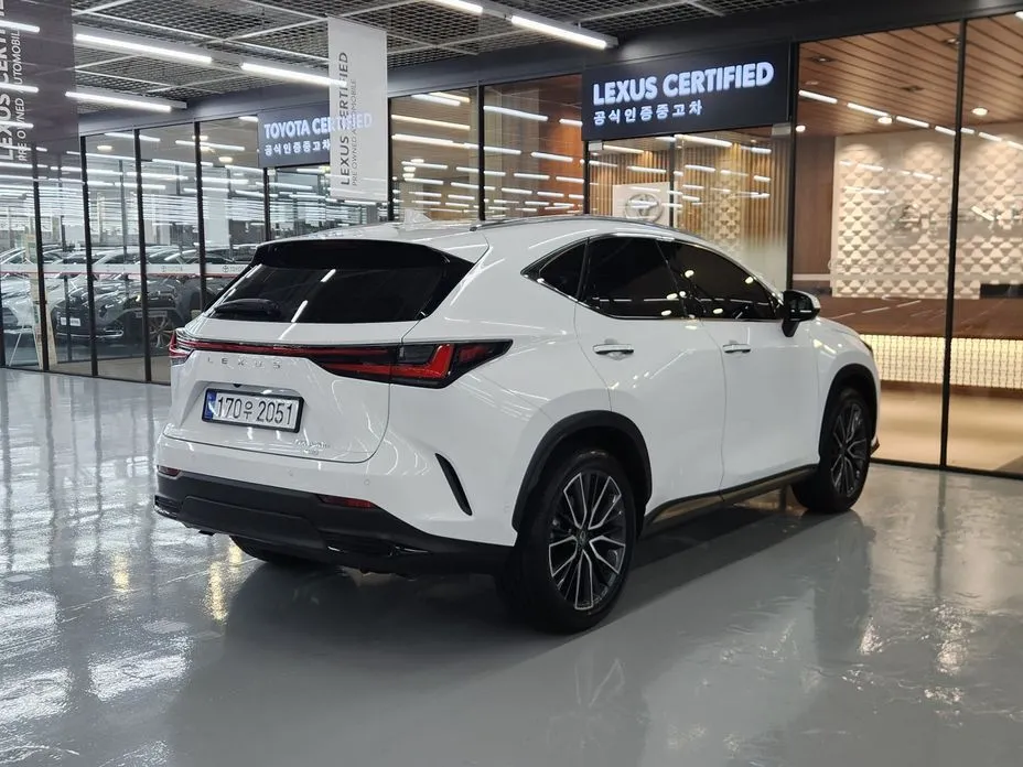 Lexus NX — фото 6