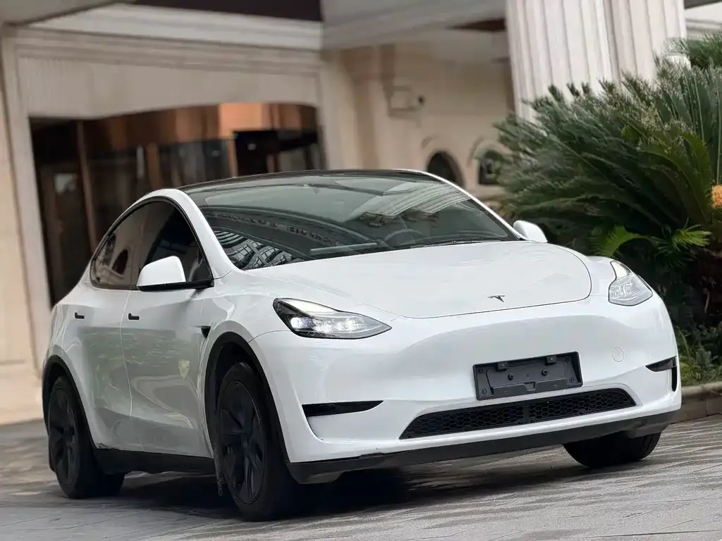 Tesla Model Y — фото 6