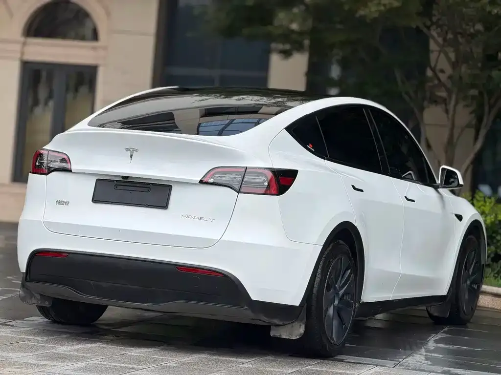 Tesla Model Y — фото 3