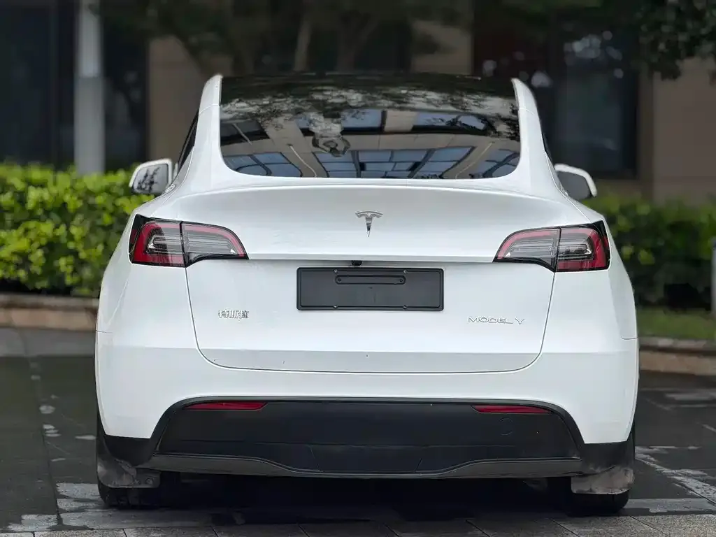 Tesla Model Y — фото 9