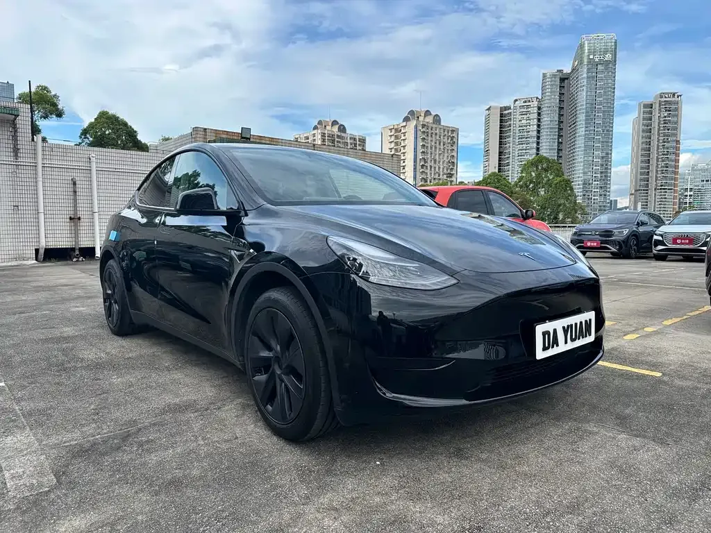 Tesla Model Y — фото 7