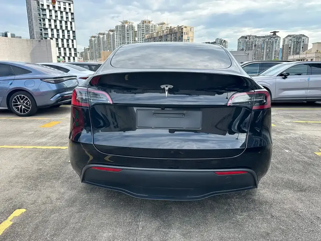 Tesla Model Y — фото 10