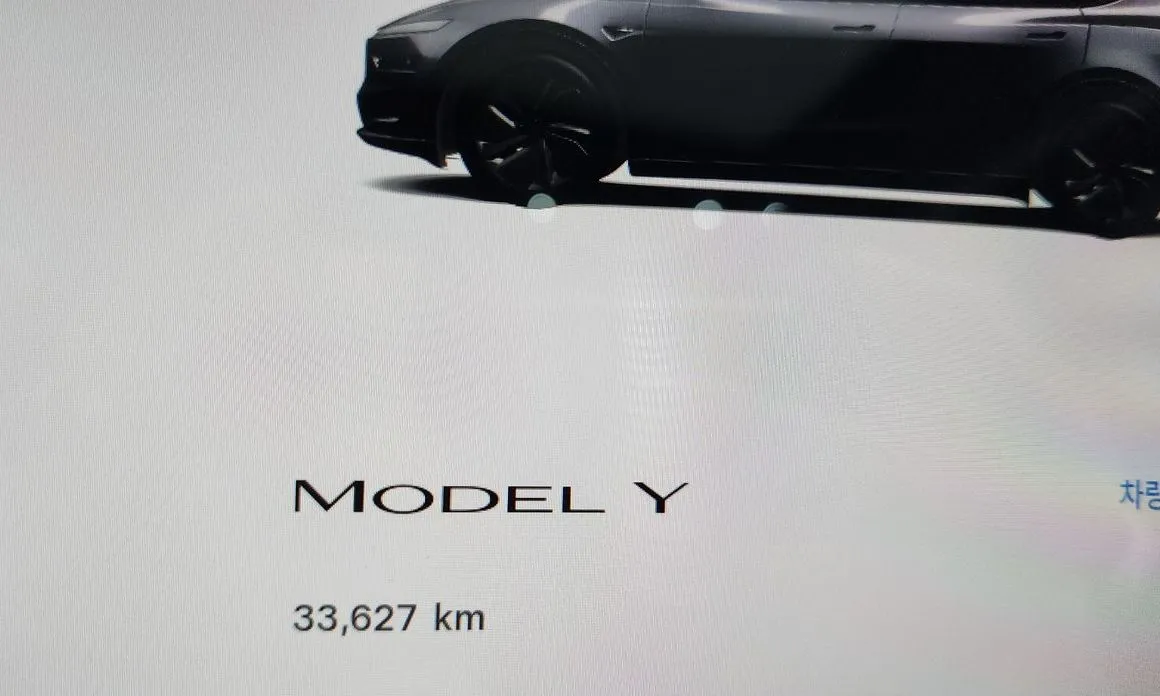 Tesla Model Y — фото 5
