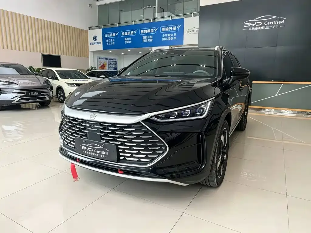 BYD Tang New Energy — фото 1