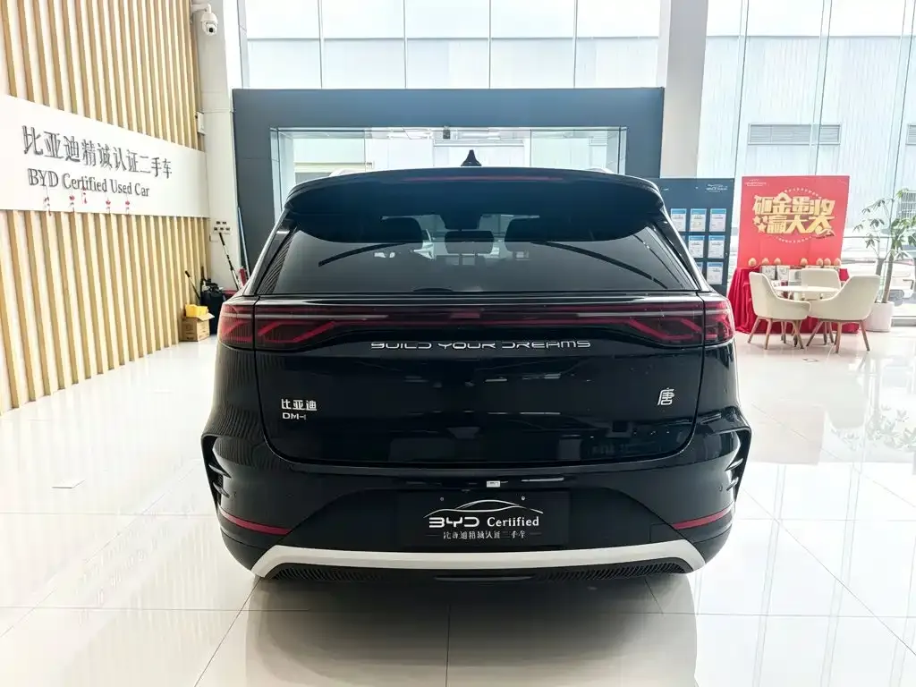 BYD Tang New Energy — фото 5