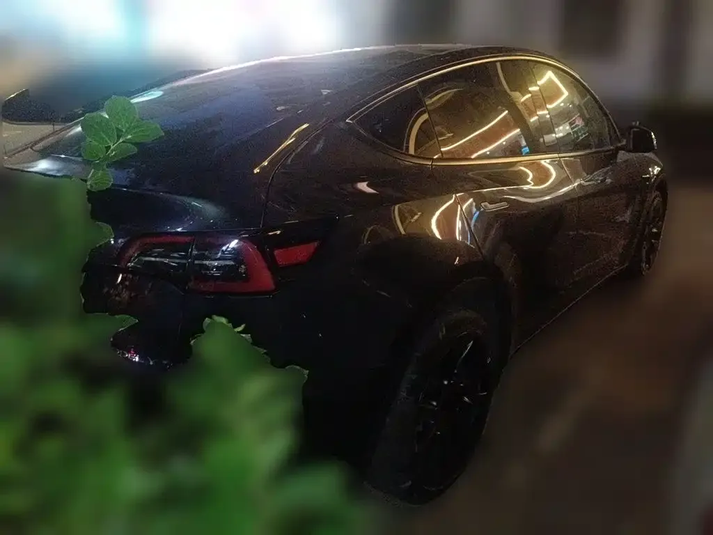 Tesla Model Y — фото 2
