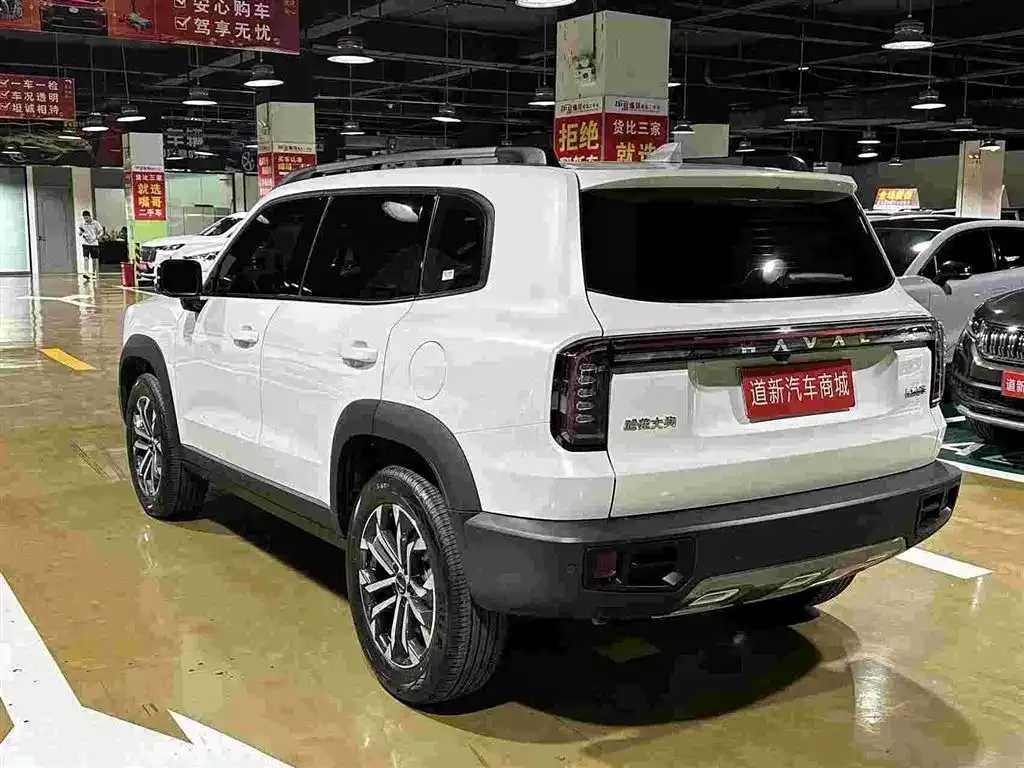 Haval Big Dog — фото 5