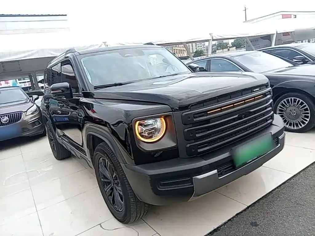 Haval Menglong New Energy — фото 10