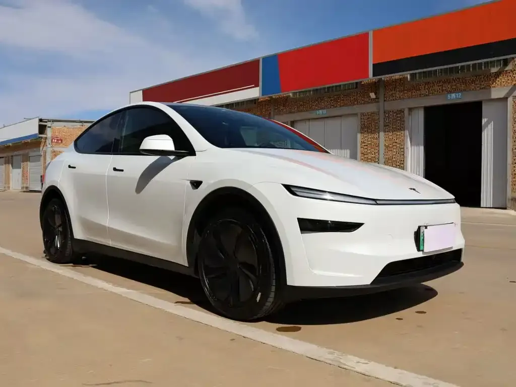 Tesla Model Y — фото 5