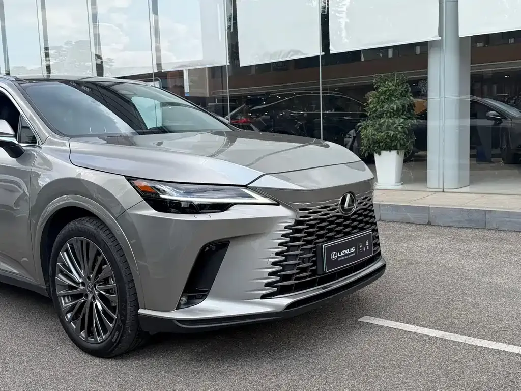Lexus RX New Energy — фото 7