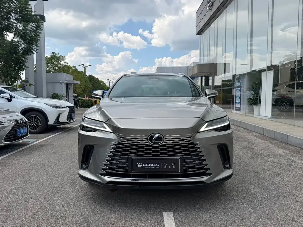 Lexus RX New Energy — фото 10