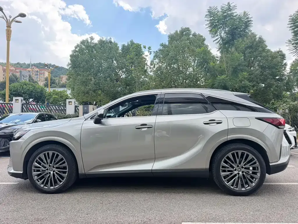 Lexus RX New Energy — фото 9