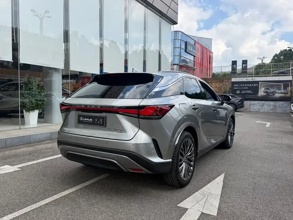 Lexus RX New Energy — фото 6