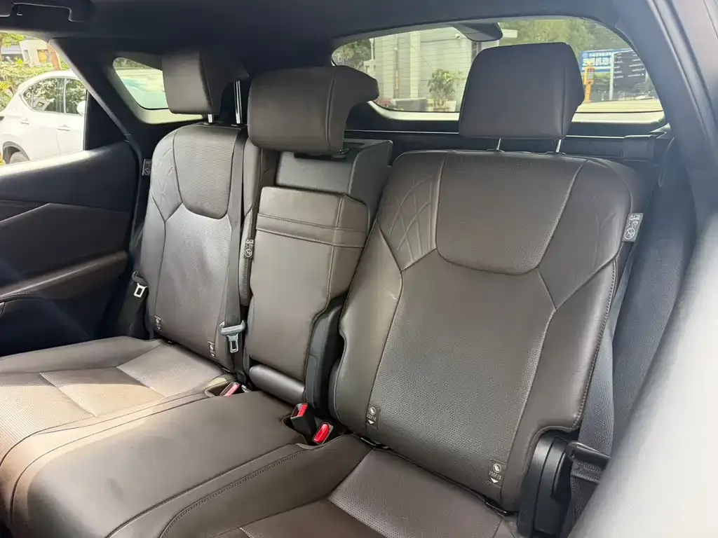 Lexus RX New Energy — фото 8
