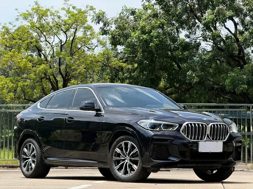 BMW X6 — фото 10