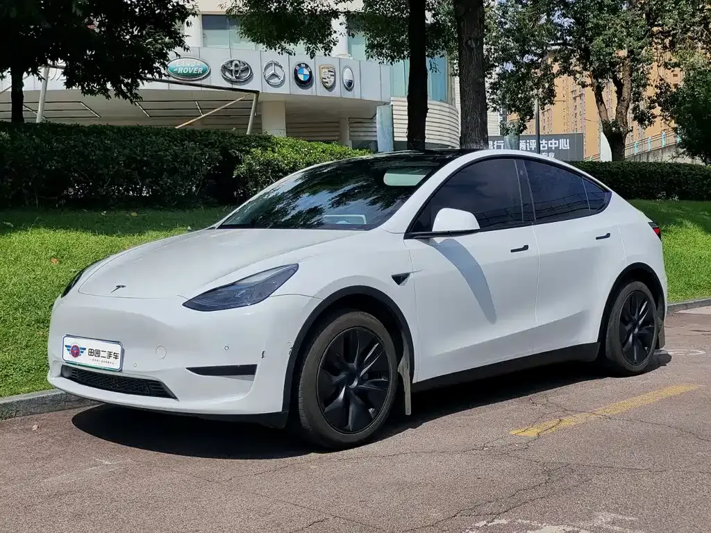 Tesla Model Y — фото 1