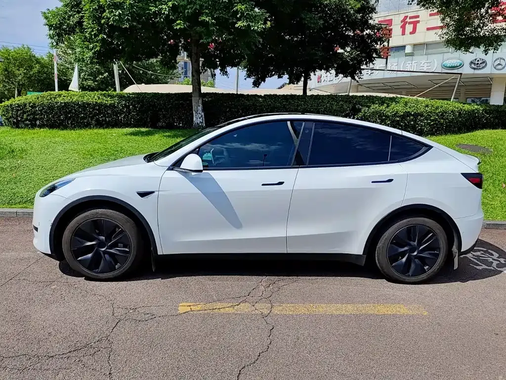Tesla Model Y — фото 8