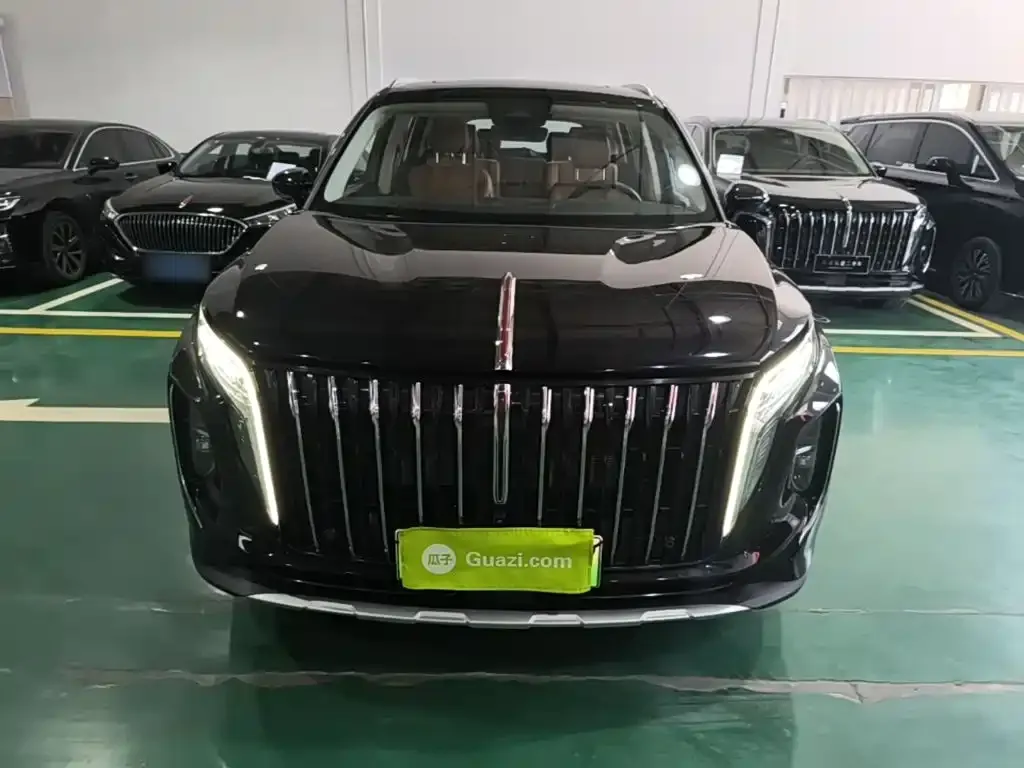 Hongqi HS7 PHEV — фото 7