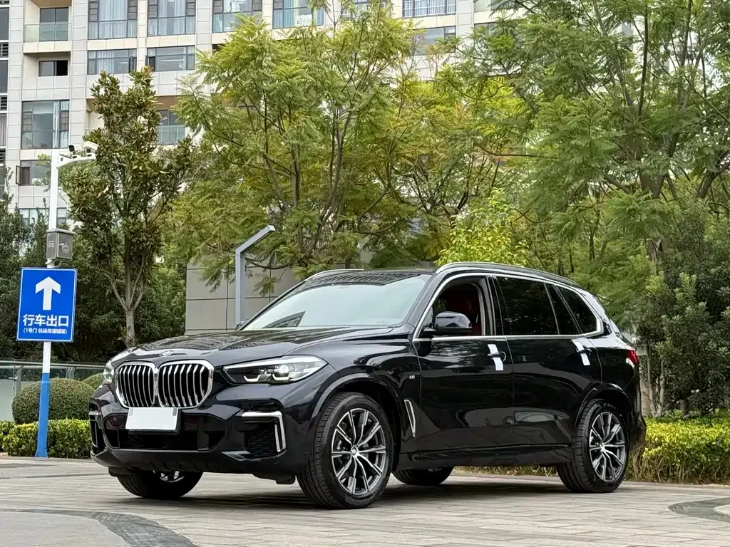 BMW X5 — фото 1