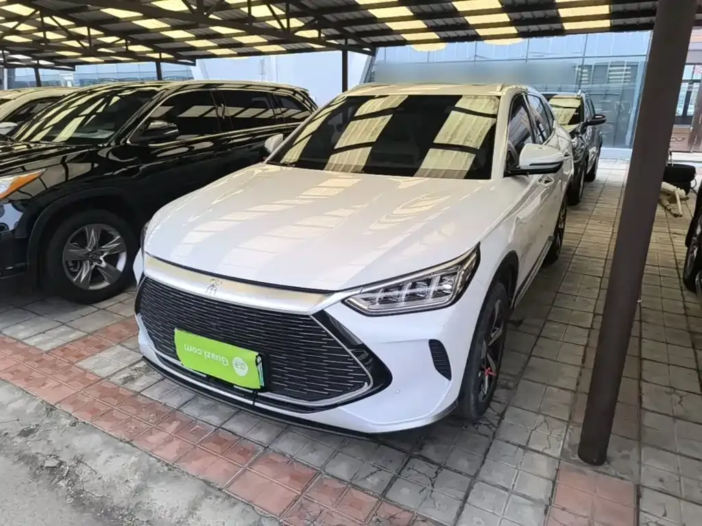 BYD PLUS New Energy — фото 1
