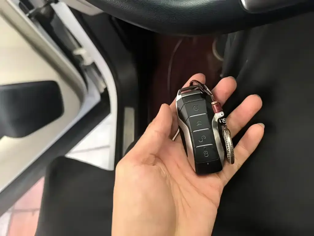 BYD PLUS New Energy — фото 10