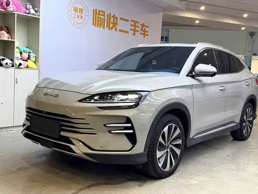 BYD PLUS New Energy — фото 1