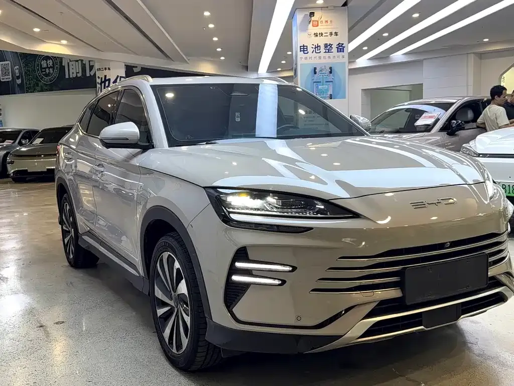 BYD PLUS New Energy — фото 3