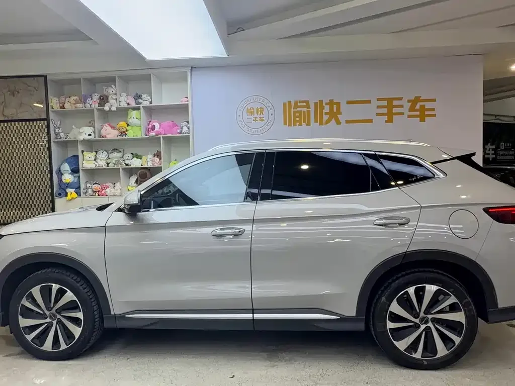 BYD PLUS New Energy — фото 2