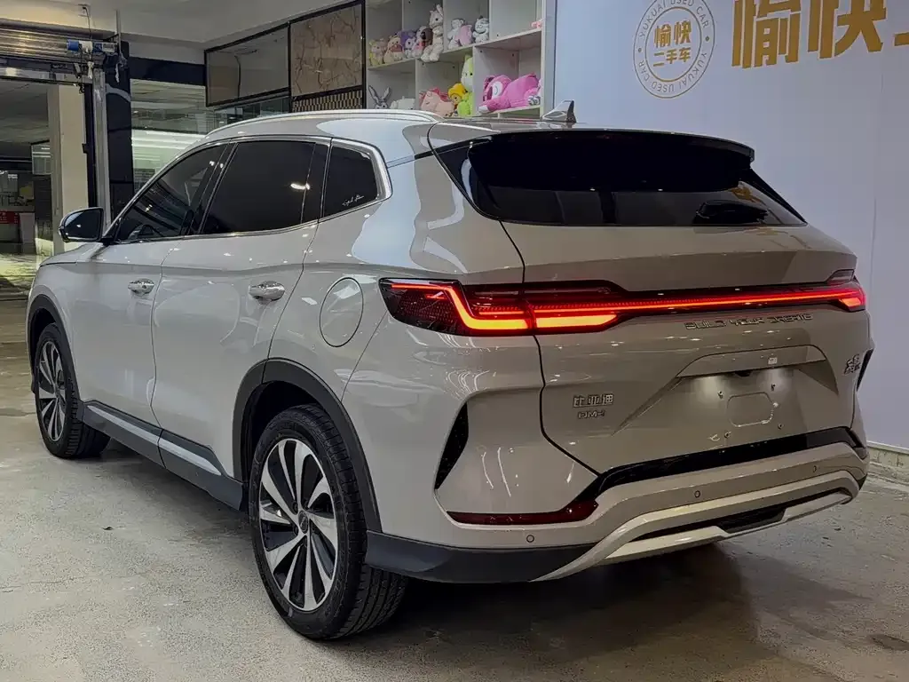 BYD PLUS New Energy — фото 6