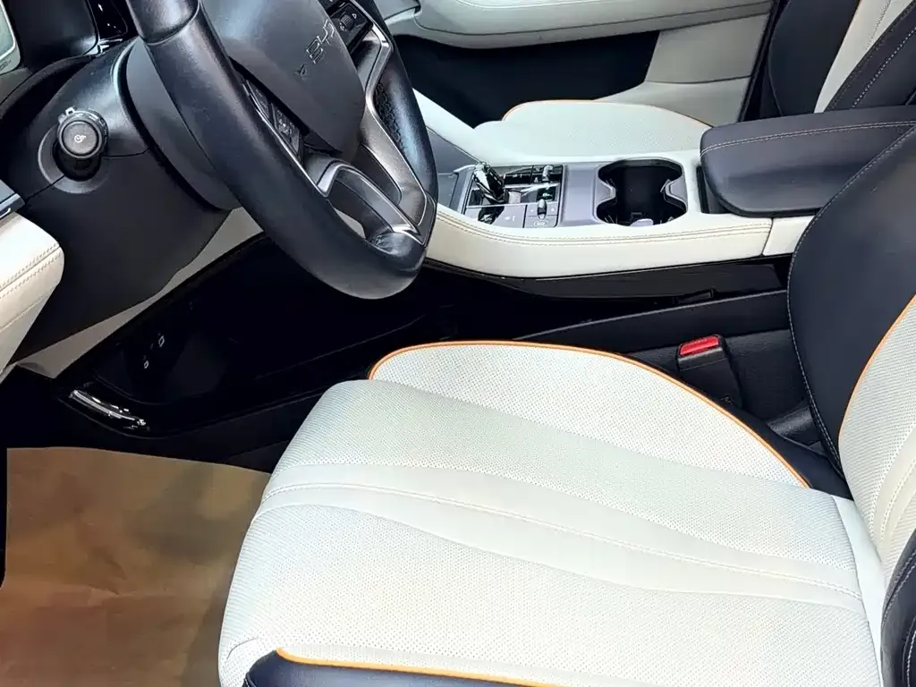 BYD PLUS New Energy — фото 10