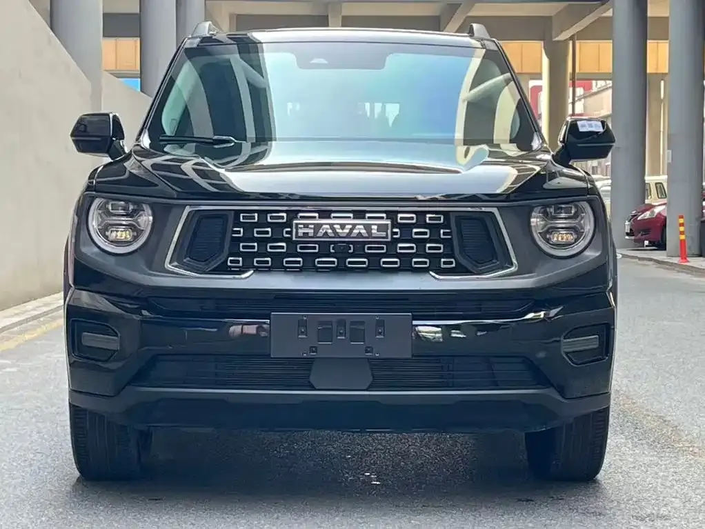 Haval Big Dog PLUS — фото 7