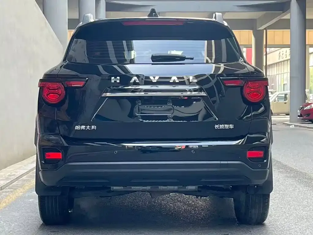 Haval Big Dog PLUS — фото 9