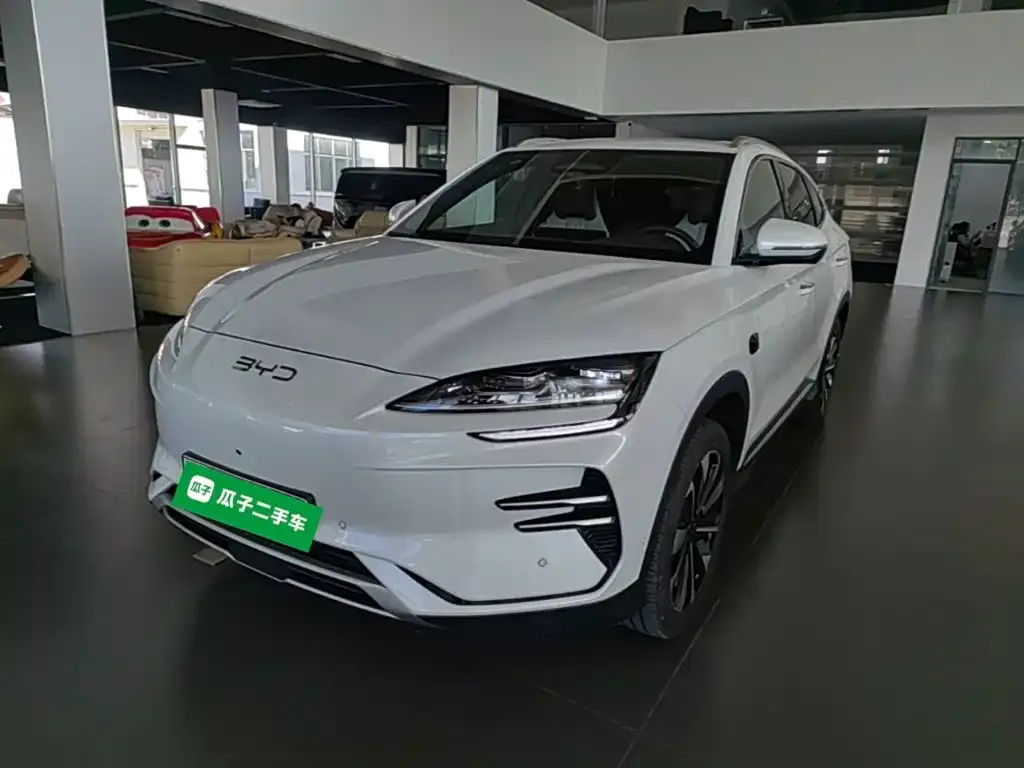 BYD PLUS New Energy — фото 8
