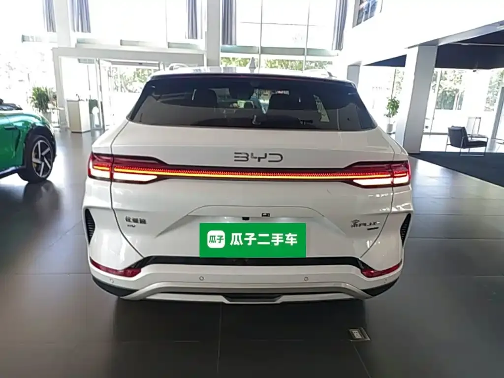 BYD PLUS New Energy — фото 4