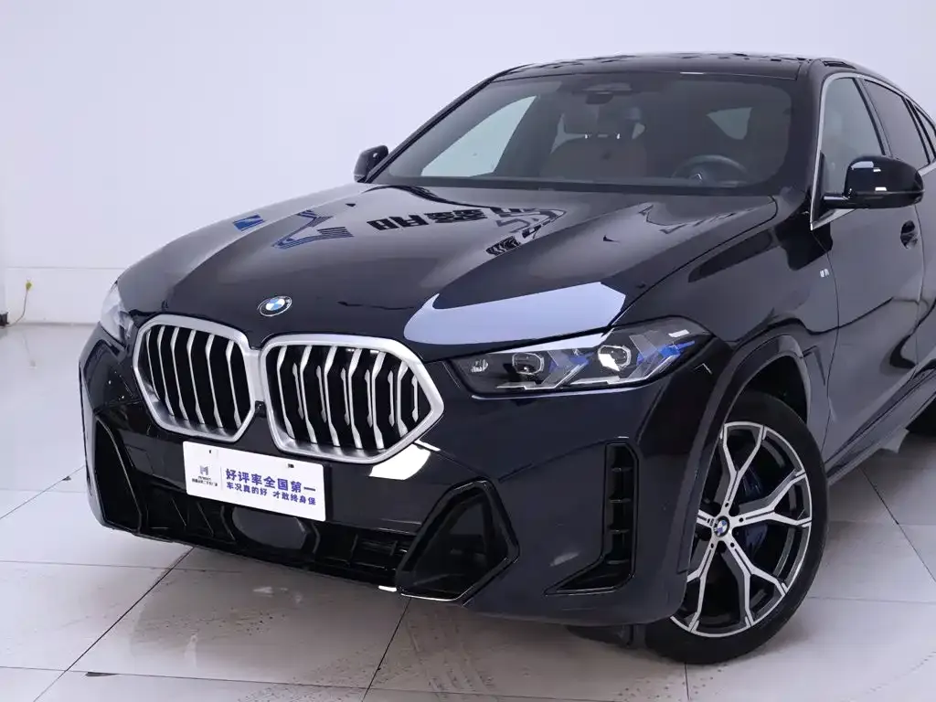 BMW X6 — фото 3