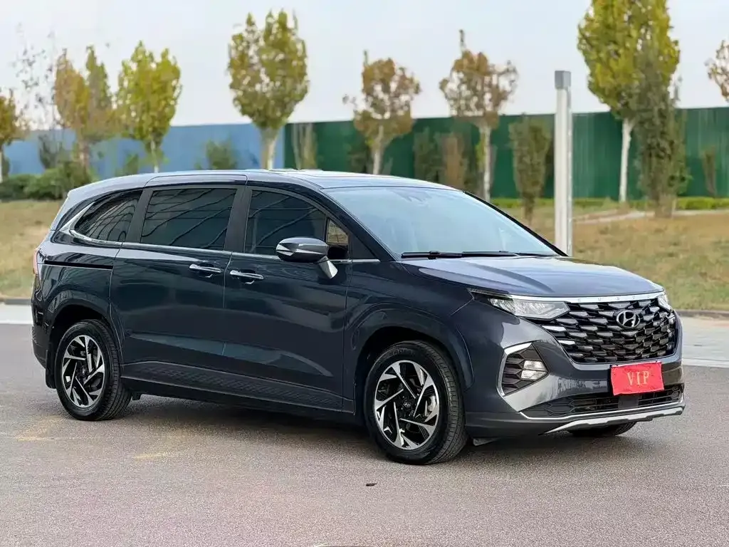 Hyundai Custo — фото 3